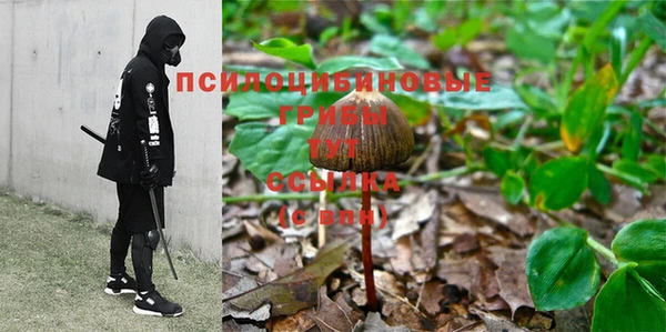 соль ск Арсеньев