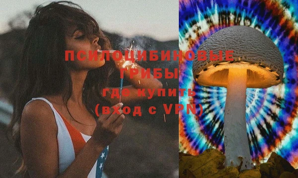 дурь Алзамай