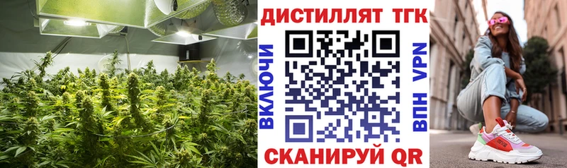 Дистиллят ТГК жижа Купить Тогучин