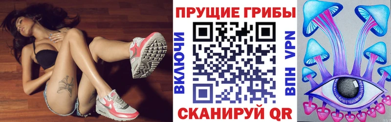 Купить  Тогучин  Псилоцибиновые грибы Magic Shrooms 